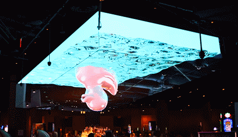 465_267gif 动态图 动图