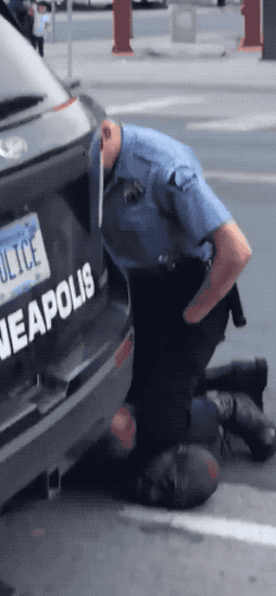 254_547竖版 竖屏gif 动态图 动图