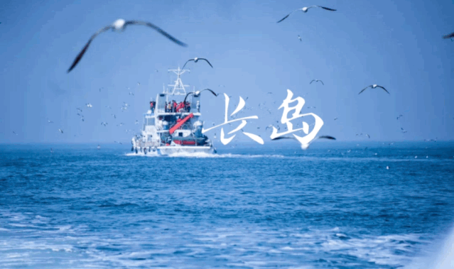 思韦茨冰川|南极“末日冰川”正以惊人速度融化，这股海底暖流是元凶……