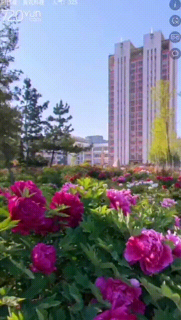 青岛农业大学720°全景航拍曝光啦!