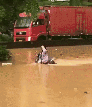 320_373gif 动态图 动图