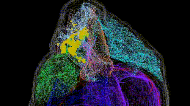 是谁,3次改写了银河系的面貌?