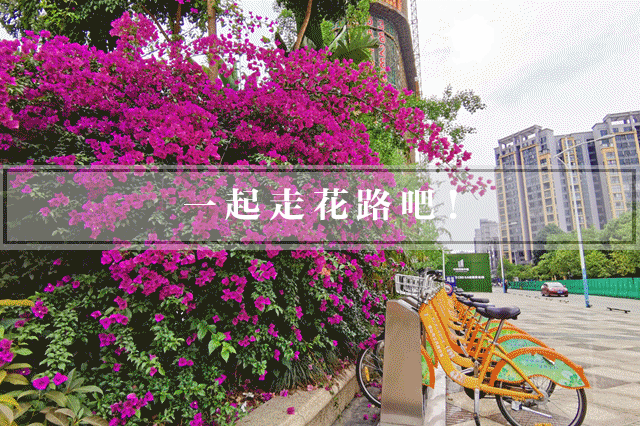 640_426gif 动态图 动图