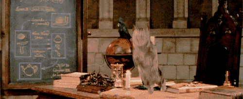 霍格沃茨魔法学校|他回来了，朋友圈里哭成一片