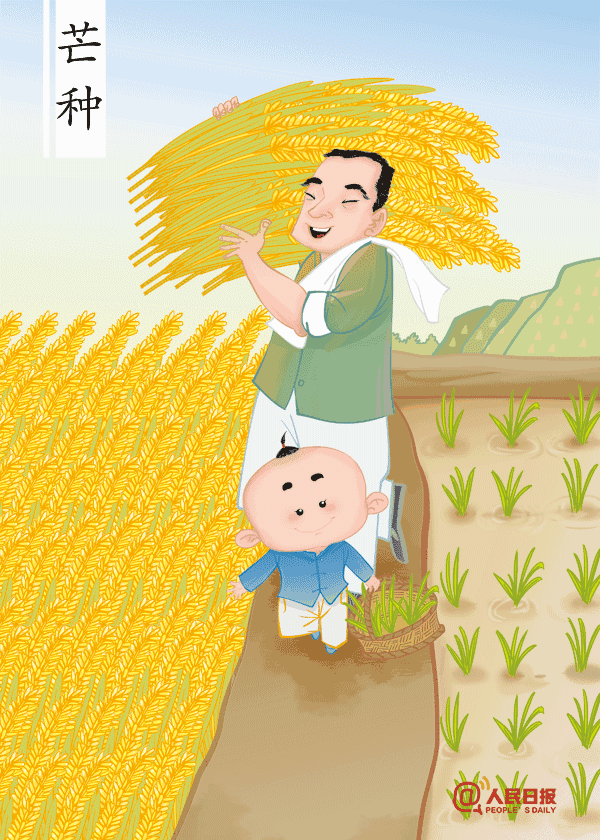 及时移栽水稻西南地区夏收夏种同时抓紧一般麦田开始收割华北地区冬