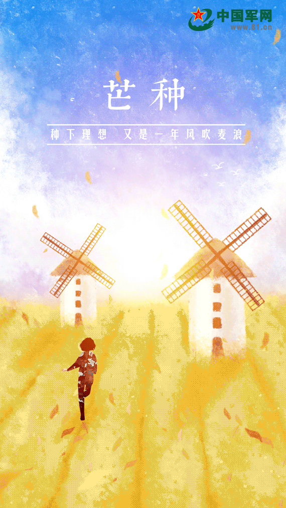 570_1013竖版 竖屏gif 动态图 动图