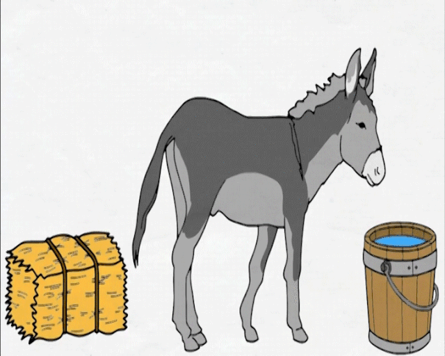 640_512gif 动态图 动图