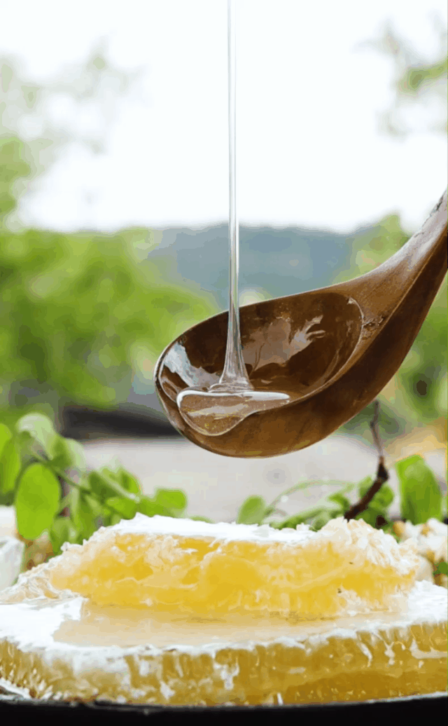 这种蜂蜜最适合
