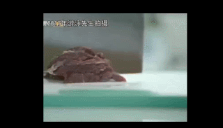 鞠婧祎|国际“巨星”鞠婧祎