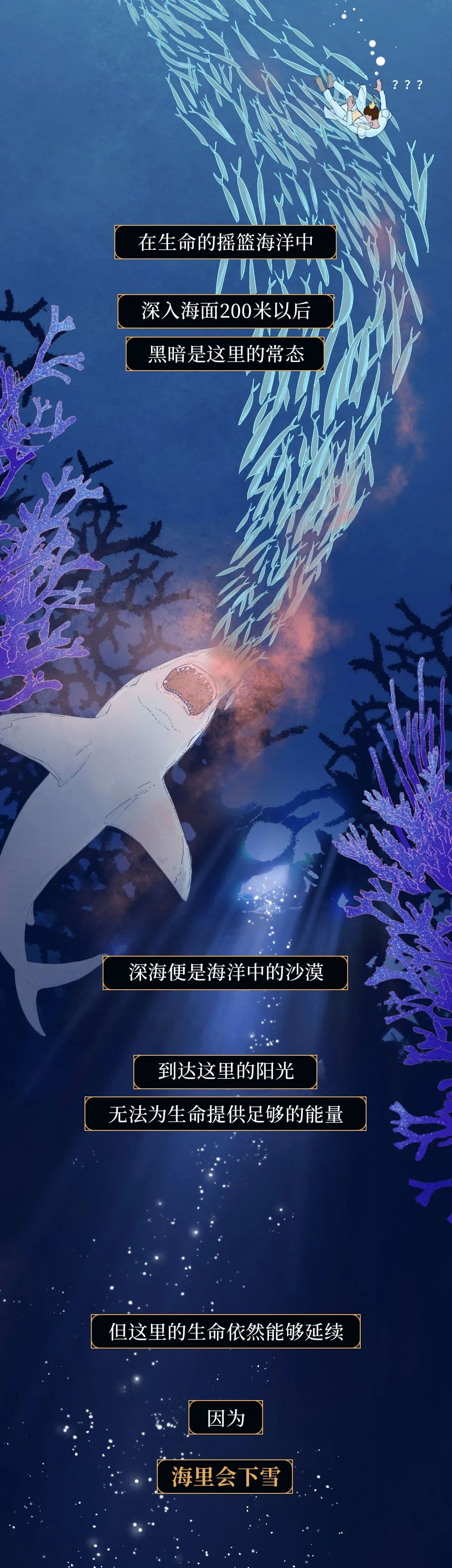 鲸落|世界上最浪漫的死亡曝光：一鲸落，万物生