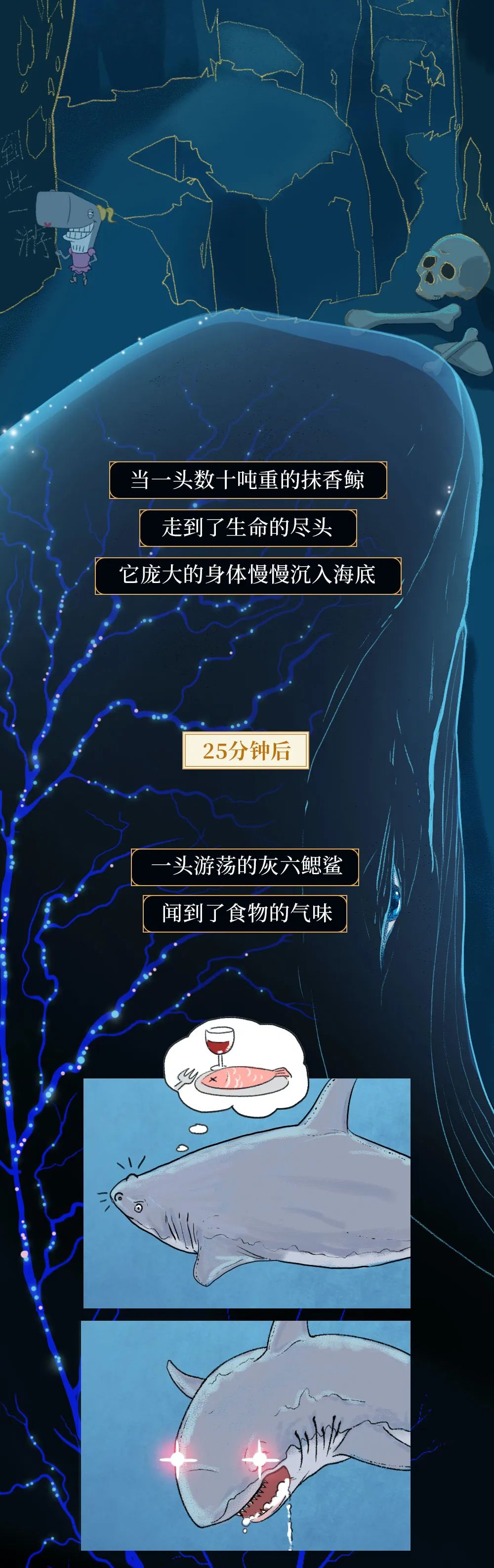 鲸落|世界上最浪漫的死亡曝光：一鲸落，万物生