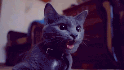 400_225gif 动态图 动图