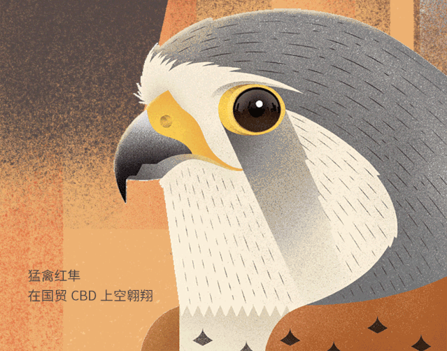 北京|北京城市自然生灵