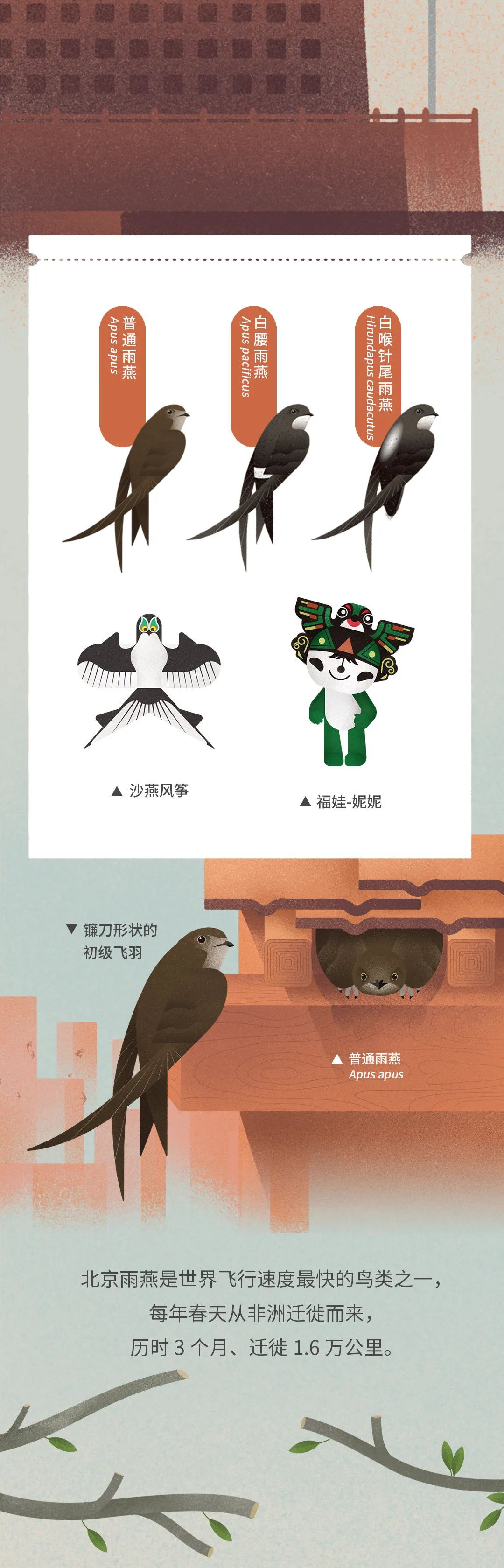 北京|北京城市自然生灵