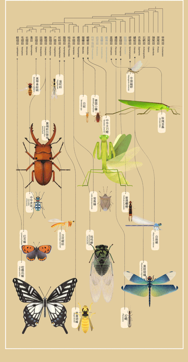 北京|北京城市自然生灵