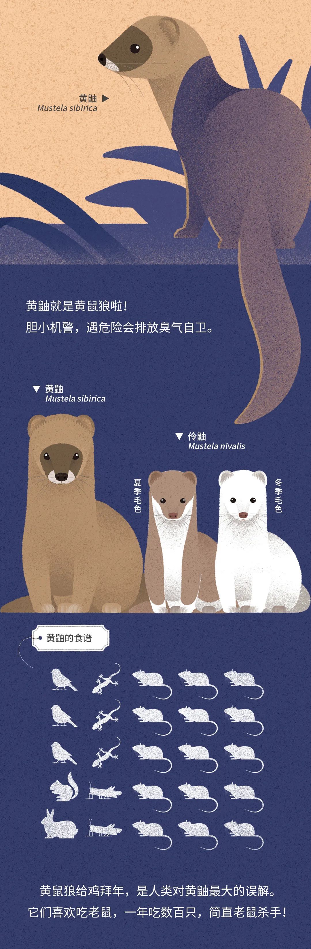 北京|北京城市自然生灵