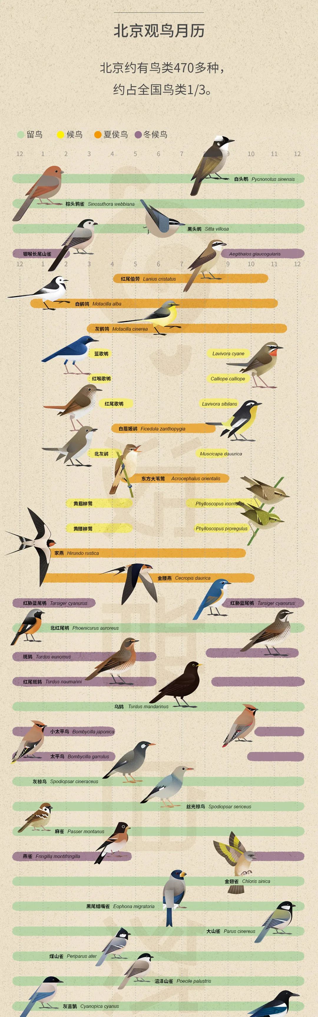 北京|北京城市自然生灵