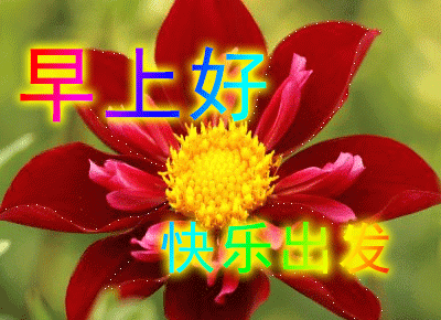6月16日周二最新早上好问候动态表情图片 暖心早上好图片表情祝福语录