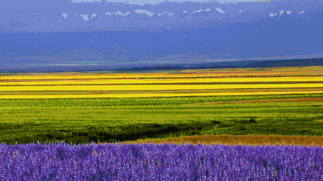 父亲节如何讨好老爸推荐去新疆看看风情拍拍美景