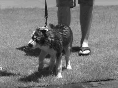 科学家|一个浪费科学家的自白：为什么我要研究这些“无用之物”？