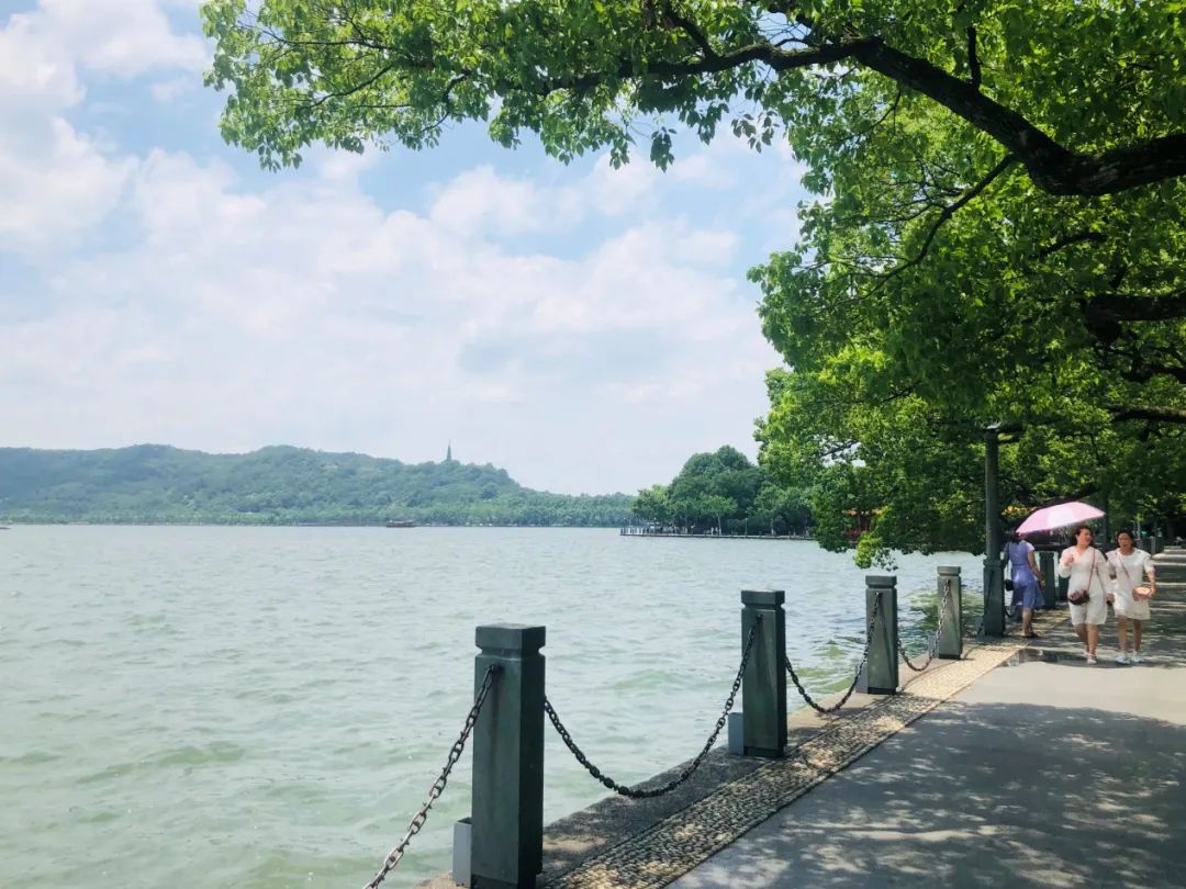 西湖,杭州,东坡路,上城区,湖滨