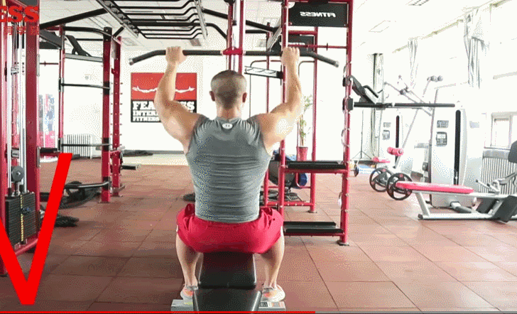 如何练出圣诞树一样的背阔肌,只讲干货_腾讯新闻