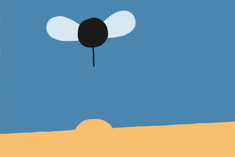 蚊子|全世界最“致命”的动物是什么？每一次叮咬可能传播4种疾病