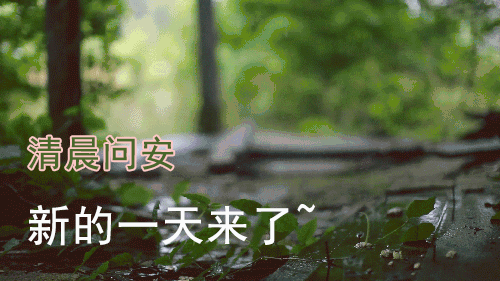 的理由,分开了过往和现在,过去是该忘记的开始,只为向你道一声:"早安