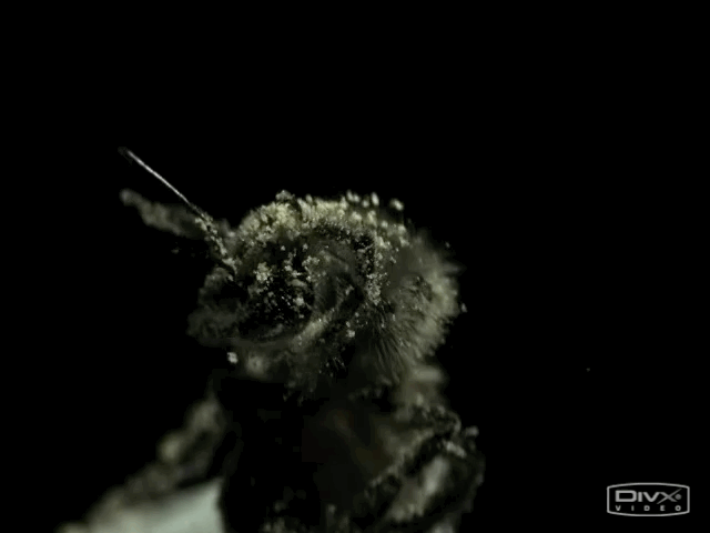 科学家|一个浪费科学家的自白：为什么我要研究这些“无用之物”？