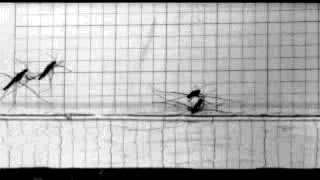 科学家|一个浪费科学家的自白：为什么我要研究这些“无用之物”？