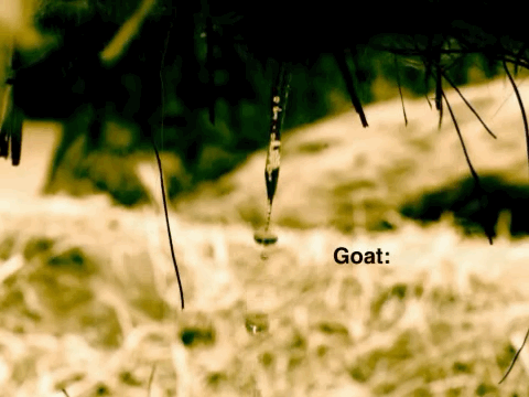 科学家|一个浪费科学家的自白：为什么我要研究这些“无用之物”？