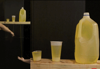 科学家|一个浪费科学家的自白：为什么我要研究这些“无用之物”？