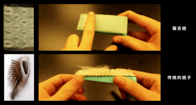 科学家|一个浪费科学家的自白：为什么我要研究这些“无用之物”？