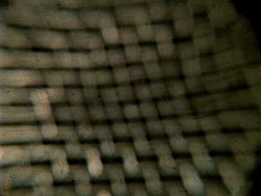 科学家|一个浪费科学家的自白：为什么我要研究这些“无用之物”？