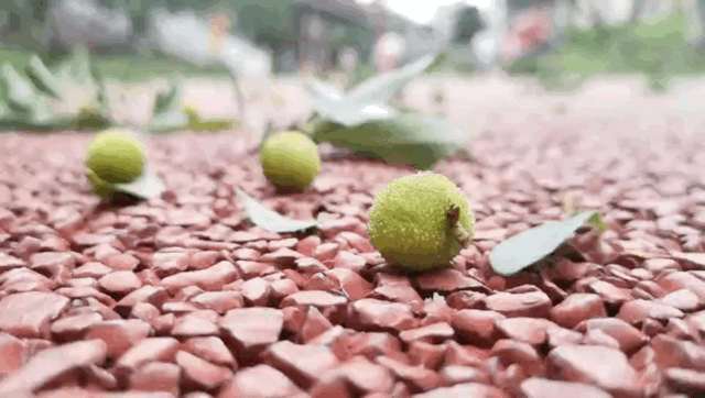 毕节街头这些水果不能吃