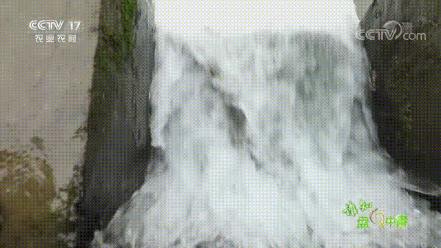 640_360gif 动态图 动图