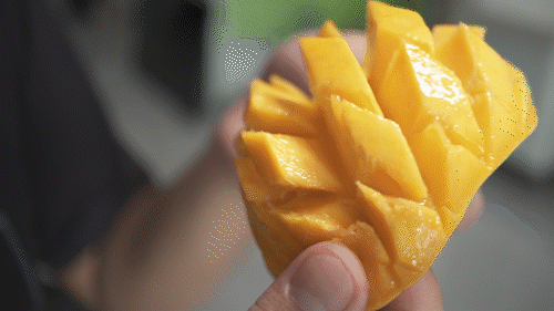 芒果争艳:台农和贵妃,谁是这个六月的芒果top1?_腾讯新闻