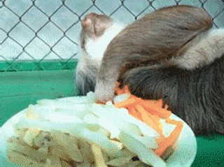 西瓜皮|削皮嫌麻烦，不削皮又怕有农药？水果皮到底该不该削啊啊啊啊