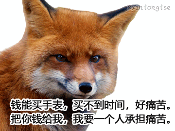 太极拳为啥叫头套捶