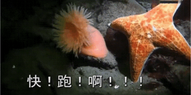 639_318gif 动态图 动图