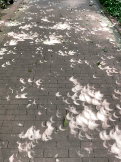 十年但不论你今天看到与否我都想将这美丽的日环食分享给你祝天下父亲