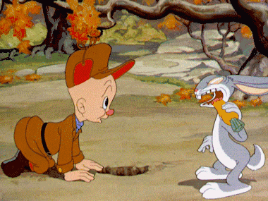 澳大利亚人可能永远不懂他们眼中的坏兔子在四川人看来有多好吃