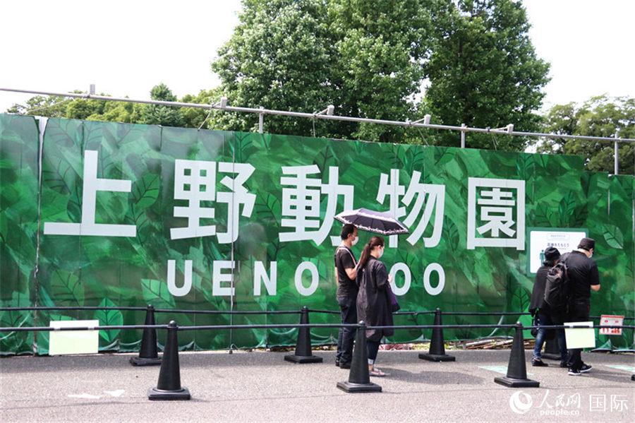 上野动物园重新开放 大熊猫"香香"与日本民众见面