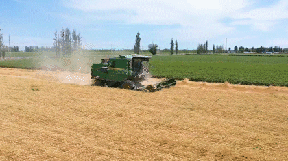 农业加出多元增收路