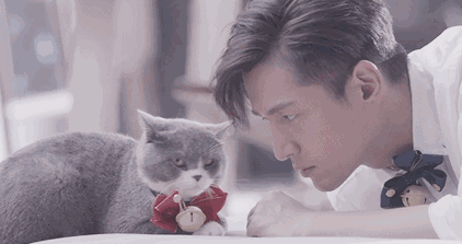422_223gif 动态图 动图