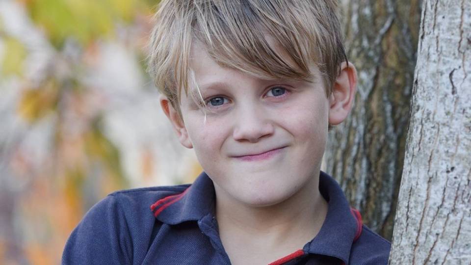 丹尼尔·卡梅隆,艾米·金,新西兰_社会,法庭