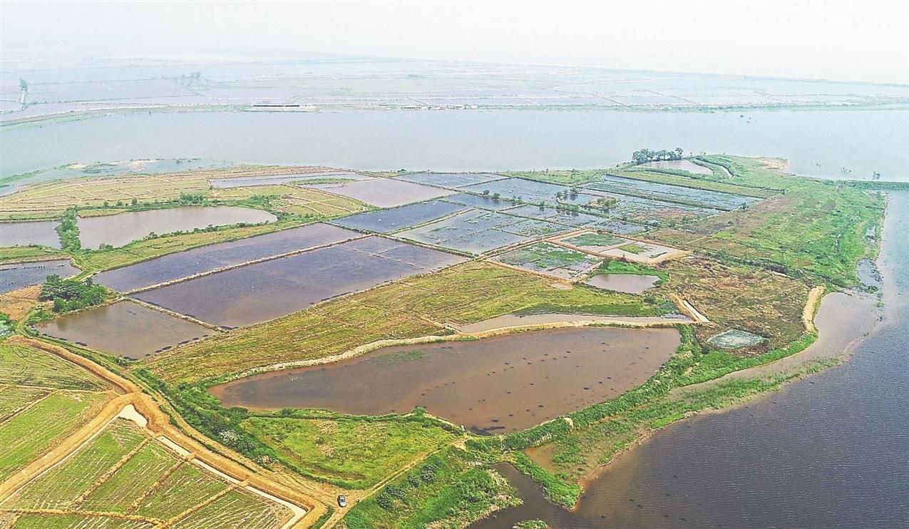 安庆佐坝乡:地退水进 人退鸟进