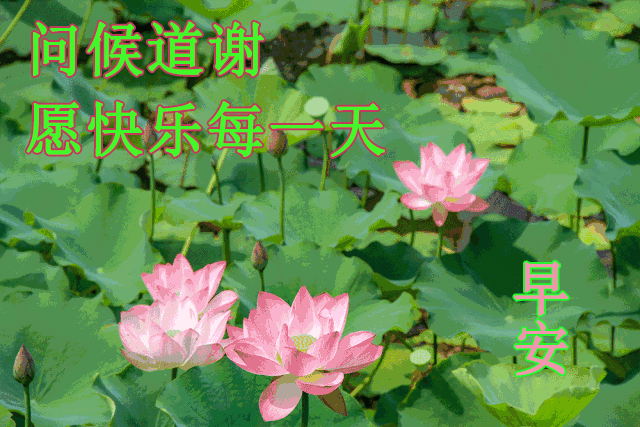 7月1日周三最新早上好问候动态表情图片 早安图片表情祝福语录