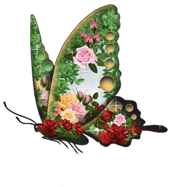 假如蝴蝶会说话