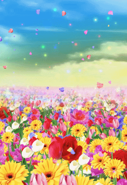 50个绝色美人 实在太美了 这是我见过最美的女人 腾讯新闻